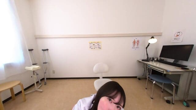 S. I. V. R 338 A