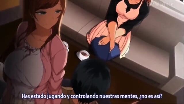 Ijirare: Fukushuu Saimin 1-4 espaÃ±ol