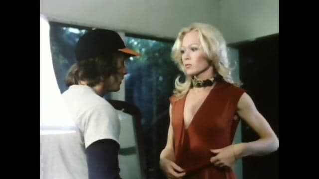 Valley P.T.A. (1981)