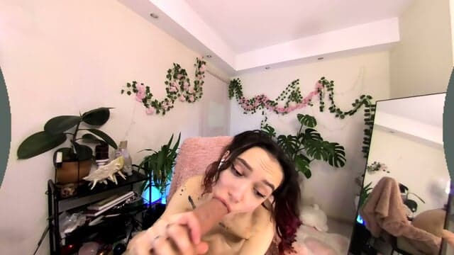 Vr Webcam Video 180latlong 097