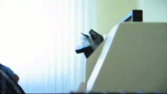 Doggystyle POV action