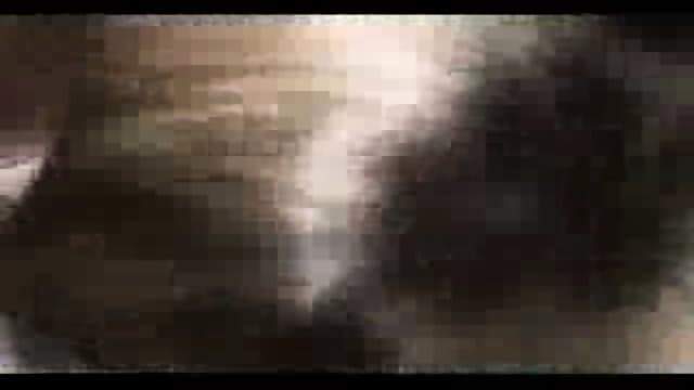 Amateur 39